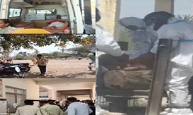 BIG NEWS : “शमशान में मौत का महातांडव! मधुमक्खियों का खौफनाक डबल अटैक—पहले बुजुर्ग की जान ली, फिर अंतिम संस्कार में बरपाया कहर… लाश छोड़ भागे लोग, 1 की दर्दनाक मौत, 50 से ज्यादा घायल, PPE किट में हुआ अंतिम संस्कार, पढ़े खबर