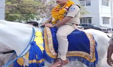 BIG NEWS: घोड़े पर सवार टीआई की 'शाही विदाई’ से दंग रह गया नीमच, फूलों की मालाओं के बीच निकली अनोखी रवानगी, देखने उमड़ा जनसैलाब, नीलेश अवस्थी का अंदाज़ बना पूरे जिले में चर्चा का विषय, पढ़े खबर