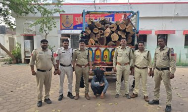 BIG NEWS : अवैध खैर की तस्करी, सूचना पर शामगढ़ पुलिस ने घेरा, 40 क्विंटल लकड़ी और पिकअप वाहन जप्त, कार्यवाही के बाद गरोठ वन विभाग को किया सुपुर्द, जांच शुरू, पढ़े खबर