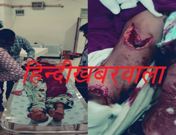 BREAKING NEWS:“खून से सनी कचौली की रात!”,“महिला पर चाकू से ताबड़तोड़ हमला, लहूलुहान हालत में जिंदगी और मौत से जंग—मनासा से जिला अस्पताल रेफर,इलाके में दहशत,पुलिस जांच में जुटी,पढ़े खबर