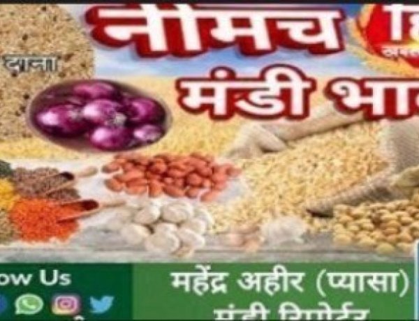 NEEMUCH MANDI : नीमच मंडी में धनियां एवं चना तेज, मक्का  नरम, आज किस जींस के भाव में आई गिरावट, और किसके भाव रहें तेज, देखें महेन्द्र अहीर (प्यासा) की इस रिपोर्ट में
