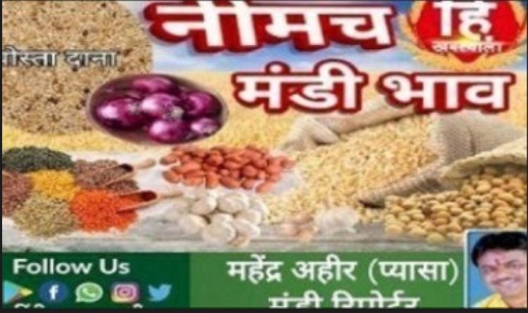 NEEMUCH MANDI: नीमच मंडी मे आज सोयाबीन एवं जो तेज, रायड़ा नरम, किस जींस मे आई तेजी, किसमे रही गिरावट, देखे महेंद्र अहीर ( प्यासा ) की ये रिपोर्ट