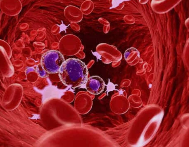 NEWS: महिला दिवस पर नीमच में स्वास्थ्य जागरूकता की अनोखी पहल,कैंसर-थैलेसीमिया के खिलाफ 8 मार्च को सड़कों पर दौड़ेगी कार रैली, पढ़े खबर