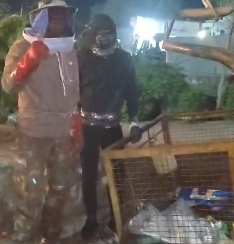 BREAKING NEWS: “रहवासी इलाके में मंडरा रहा था खतरा! पानी की टंकी पर लगे 14 विशाल मधुमक्खी छत्तों का हुआ रेस्क्यू”,टला सर्पराज टीम की सावधानी से बड़ा हादसा,छोड़ा सुरक्षित जंगल में ,पढ़े खबर 