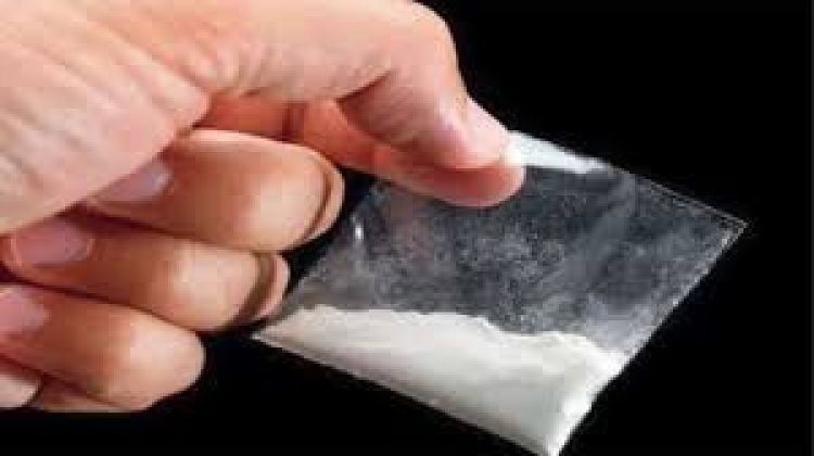 BIG NEWS: ड्रग्स कांड में फरार तस्कर-पैडलरों पर नारकोटिक्स विंग इंदौर ने किया इनाम घोषित, इन राज्यों के 16 आरोपी सहित नीमच-मंदसौर के भी लिस्ट मे शामिल,पुलिस की तलाश हुई तेज,सुचना देने वालों की पहचान रहेगी गुप्त,पढ़े खबर