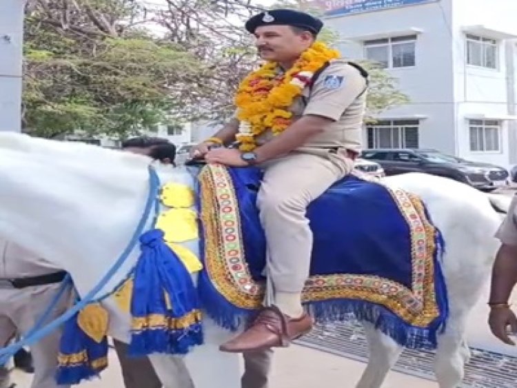 BIG NEWS: घोड़े पर सवार टीआई की 'शाही विदाई’ से दंग रह गया नीमच, फूलों की मालाओं के बीच निकली अनोखी रवानगी, देखने उमड़ा जनसैलाब, नीलेश अवस्थी का अंदाज़ बना पूरे जिले में चर्चा का विषय, पढ़े खबर