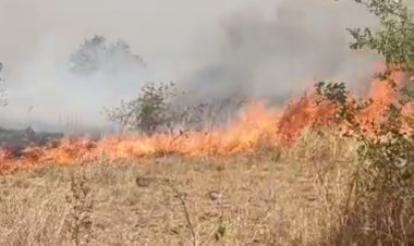 BREAKING NEWS: जंगल में धधकी आग… जीरन के दलपतपुरा के ऊपर पहाड़ियों में मची अफरा-तफरी, वन विभाग मौके पर , पढ़े आजाद मंसूरी की ये खबर