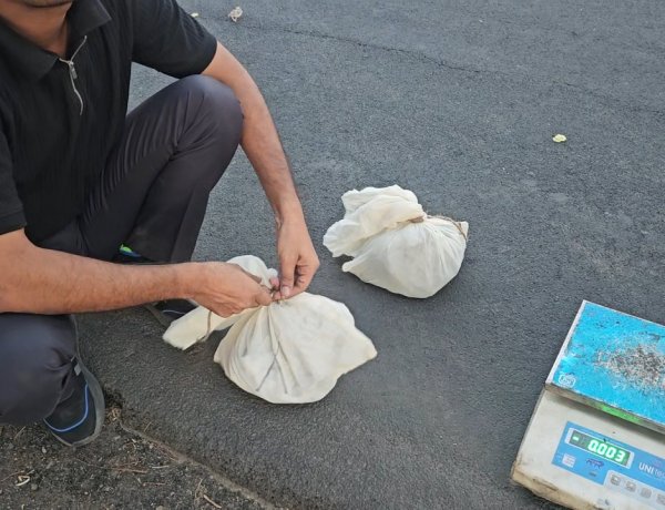 BIG NEWS : मनासा में ड्रग्स रैकेट बेनकाब,CBN की ताबड़तोड़ कार्रवाई, खेतों में भाग रहा तस्कर दबोचा, बैग से निकला यह मादक पदार्थ, पढ़े पूरी खबर