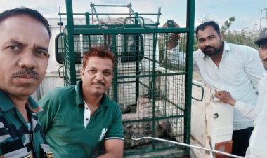 BREAKING NEWS : सुबह 5 बजे गांव दोबड़ा में दहशत का साया, घरों के बीच घुस आया 7 फीट का खतरनाक मगरमच्छ, नींद से जागे ग्रामीणों में मची अफरा-तफरी, रेस्क्यू टीम ने जान जोखिम में डालकर चलाया ऑपरेशन, काबू में आया ‘मौत का शिकारी’, पढ़े नरेंद्र राठौर की ये खबर