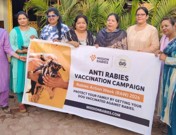NEWS: नीमच में शुरू होगा बड़ा एंटी रेबीज अभियान! अब शहर के निराश्रित श्वानों को लगेगी मुफ्त वैक्सीन, कई संस्थाएं आईं साथ, पढ़े खबर