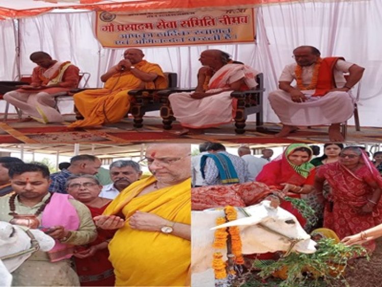 NEWS: गौ सेवा में बड़ा योगदान, साढ़े 5 लाख की लागत से बना गिरदौड़ा में विशाल टीन शेड, संतों के सानिध्य में हुआ भव्य लोकार्पण, गो प्रसादम सेवा समिति का सराहनीय कार्य, पढ़े खबर