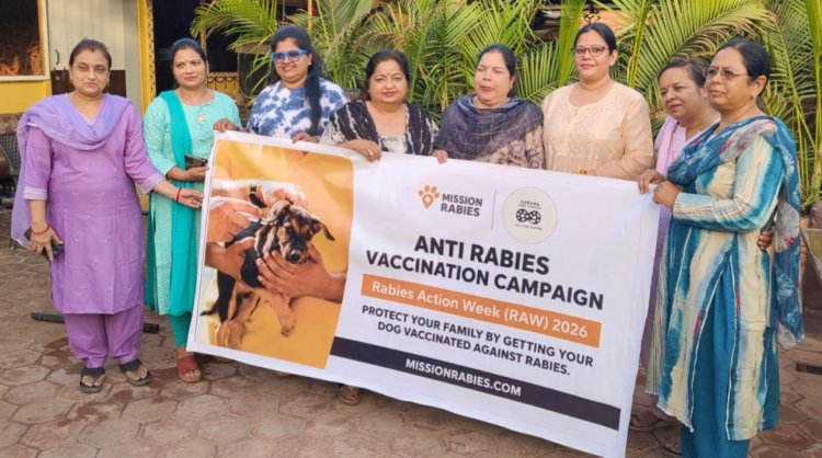 NEWS: नीमच में शुरू होगा बड़ा एंटी रेबीज अभियान! अब शहर के निराश्रित श्वानों को लगेगी मुफ्त वैक्सीन, कई संस्थाएं आईं साथ, पढ़े खबर