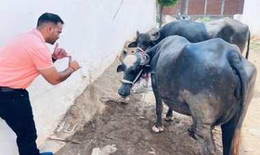 BREAKING NEWS: भैंस, बीन और सैकड़ों प्रदर्शनकारी... नीमच में हड़ताल के सातवें दिन दिखा ऐसा नजारा जिसने सबको कर दिया हैरान, आखिर किसे जगाने के लिए रचा गया यह अनोखा प्रदर्शन? पढ़िए पवन राव शिंदे की ये पूरी खबर