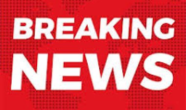BREAKING NEWS: रेत के नीचे छिपाकर पंजाब भेजी जा रही थी करोड़ों की खेप! दिल्ली-मुंबई एक्सप्रेस-वे पर CBN का बड़ा एक्शन, 302 किलो डोडाचूरा बरामद, भारत बेंज ट्रक समेत दो तस्कर गिरफ्तार, पढ़े खबर