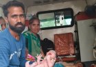 BREAKING NEWS: चलती एंबुलेंस बनी ऑपरेशन थिएटर! दलोदा चौराहे के पास 108 टीम ने कराई सुरक्षित डिलीवरी, जच्चा-बच्चा दोनों स्वस्थ, पढ़े खबर