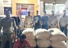 BIG NEWS : रात के अंधेरे मे डोडाचूरा लेकर भाग रहा था सगोर का तस्कर, सीतामऊ पुलिस की नाकाबंदी बनी काल... बिना नंबर की स्विफ्ट समेत लाखो का माल किया जब्त, पढ़े खबर