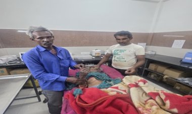दर्दनाक हादसा : पिपलियामंडी के बरखेड़ापंथ गांव में मातम, घर के बाड़े में काम कर रही 76 वर्षीय बुजुर्ग महिला को जहरीले सांप ने डसा, अस्पताल पहुंचने से पहले गई जान,पुलिस ने शुरू की कार्रवाई, पढ़े खबर