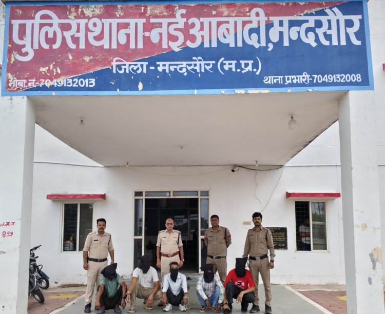 BIG NEWS: रात के अंधेरे में हो रही थी 'विमल' के बैगों की डिलीवरी... मंदसौर पुलिस ने घेरा तो खुला ऐसा राज कि पंजाब, हरियाणा और राजस्थान तक मच गया हड़कंप, 65 किलो डोडाचूरा के साथ 5 तस्कर गिरफ्तार, पढ़े खबर