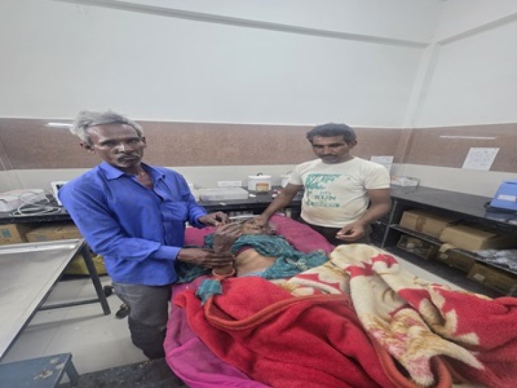 दर्दनाक हादसा : पिपलियामंडी के बरखेड़ापंथ गांव में मातम, घर के बाड़े में काम कर रही 76 वर्षीय बुजुर्ग महिला को जहरीले सांप ने डसा, अस्पताल पहुंचने से पहले गई जान,पुलिस ने शुरू की कार्रवाई, पढ़े खबर
