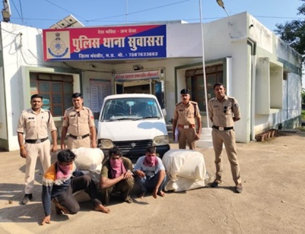 BIG NEWS: सुवासरा पुलिस की डोडाचूरा तस्करों पर बड़ी कार्रवाई, 62 किलो 900 ग्राम अवैध डोडाचूरा जब्त, पढ़े खबर